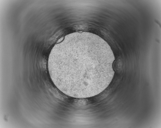 X0000102390282200808291430