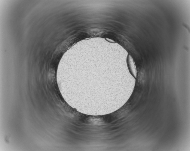 X0000102390283200808291430