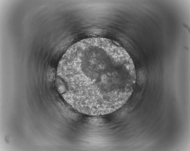 X0000102390284200808291430