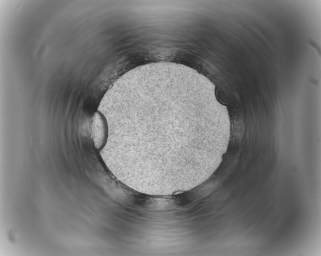 X0000102390286200808291430