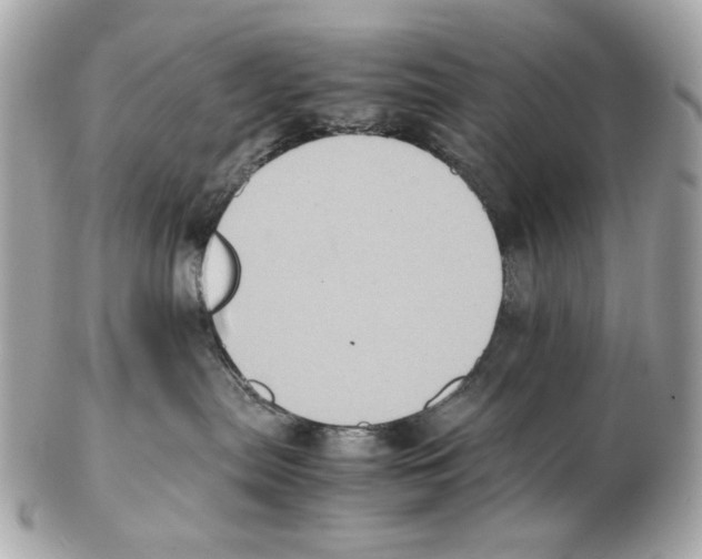 X0000102390287200808291430