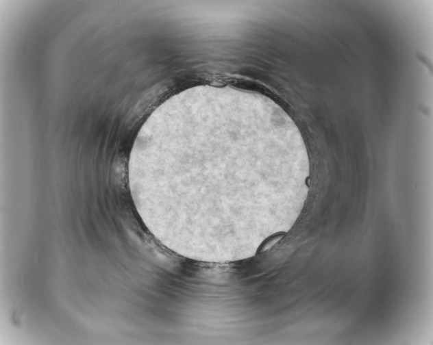 X0000102390288200808291430