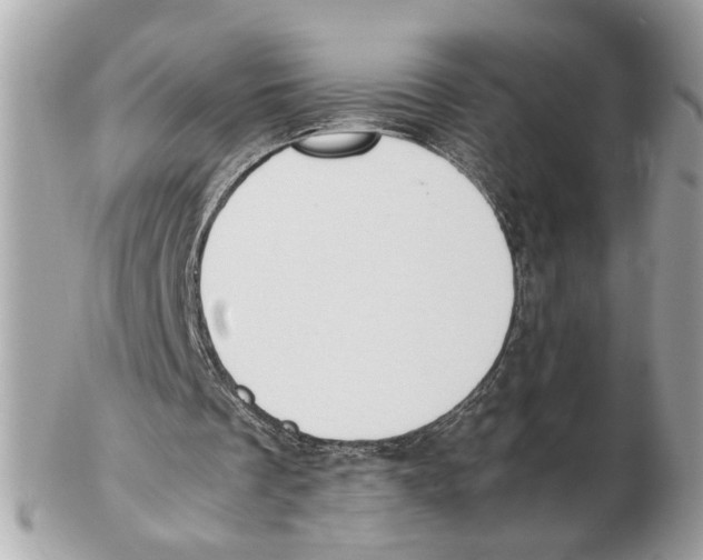 X0000102390289200808291429