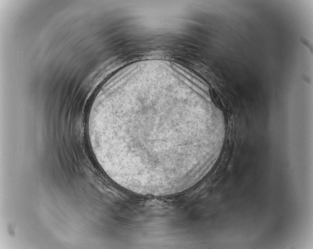 X0000102390290200808291429