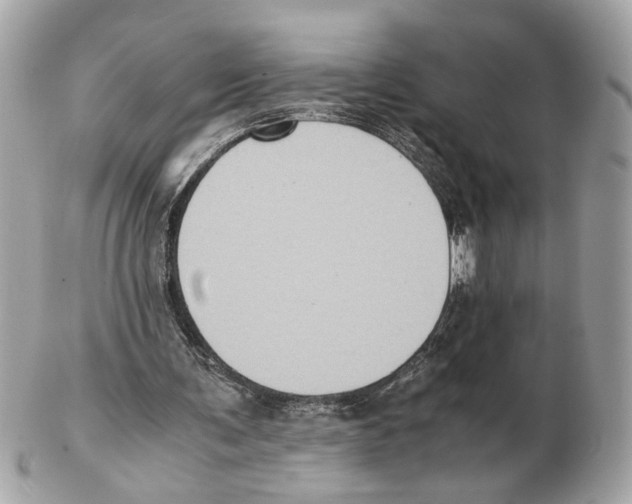 X0000102390291200808291429