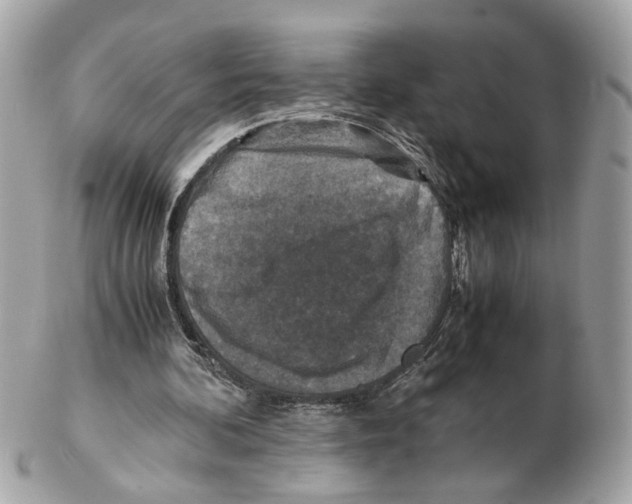 X0000102390292200808291429