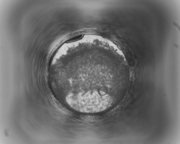 X0000102390293200808291429