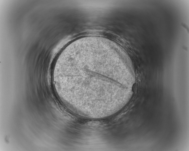 X0000102390294200808291429