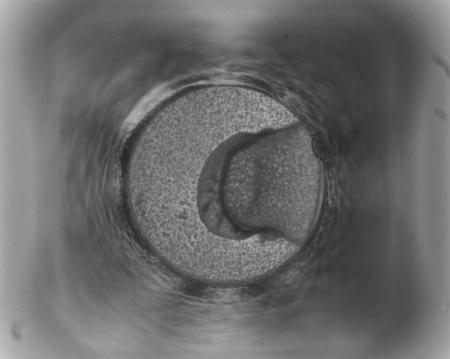 X0000102390295200808291429