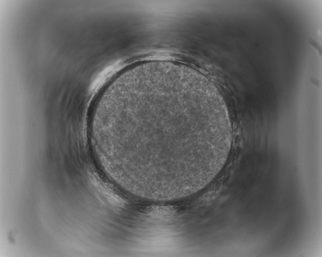 X0000102390296200808291429
