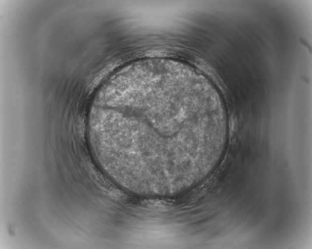 X0000102390297200808291429