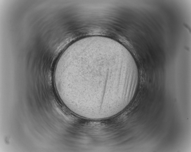X0000102390298200808291429