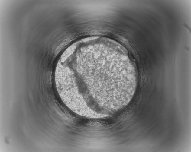 X0000102390299200808291429