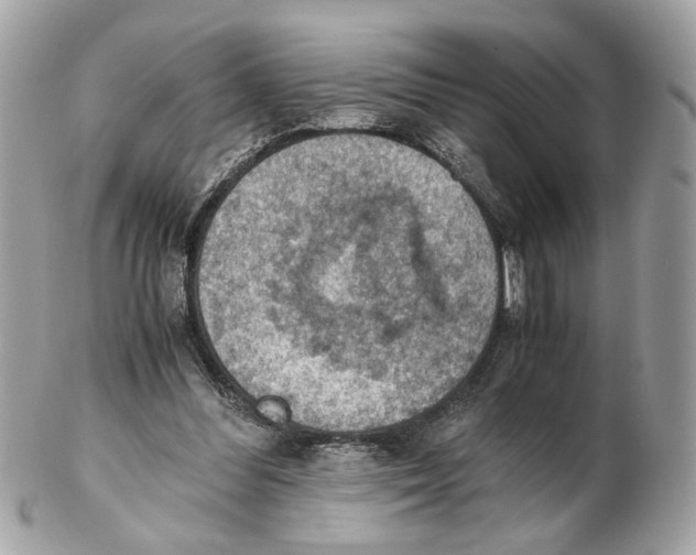 X0000102390300200808291429