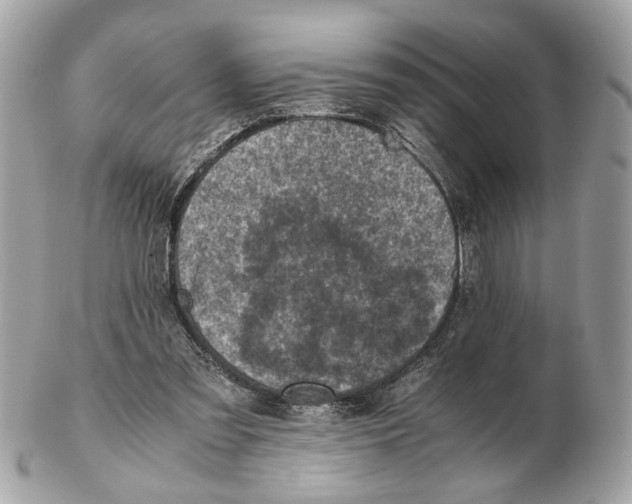 X0000102390301200808291429