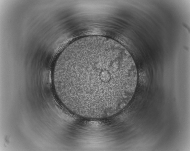 X0000102390302200808291429