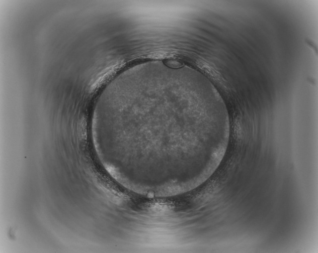 X0000102390303200808291429
