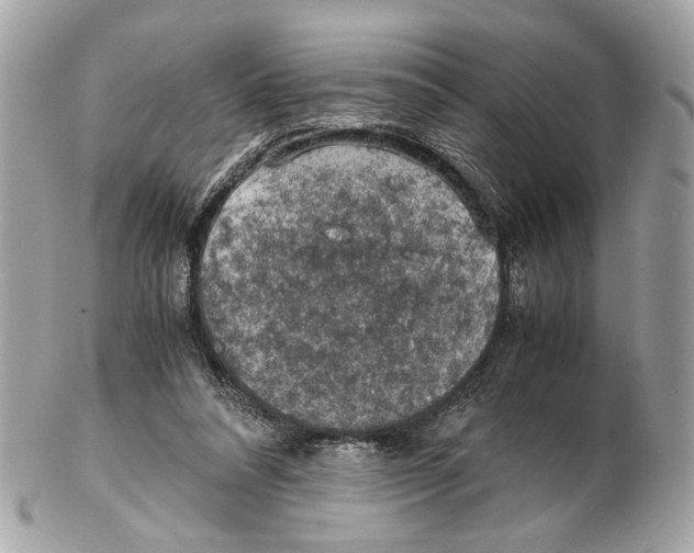 X0000102390304200808291429
