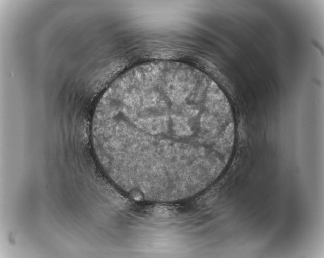 X0000102390305200808291429