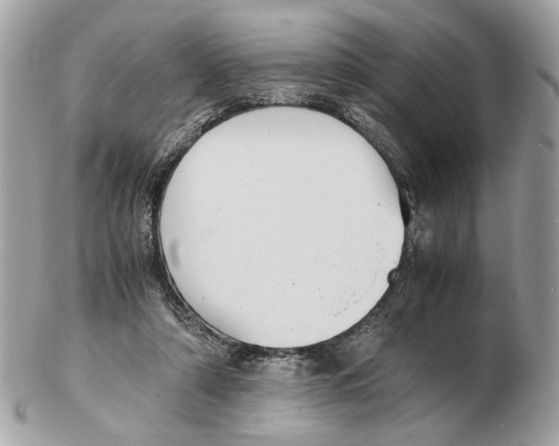X0000102390306200808291429
