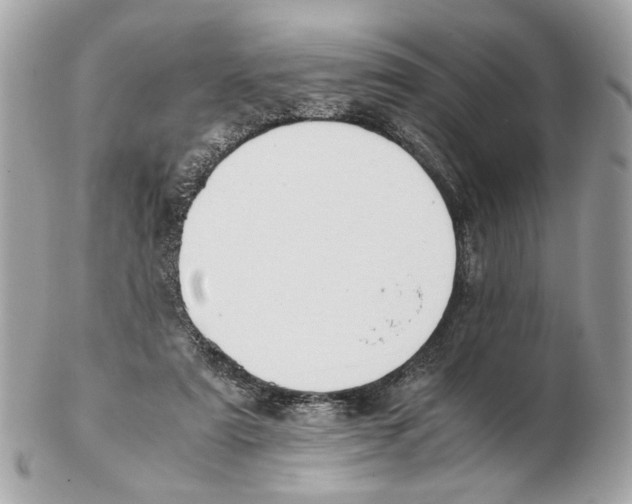 X0000102390307200808291429