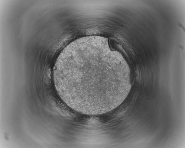 X0000102390308200808291429