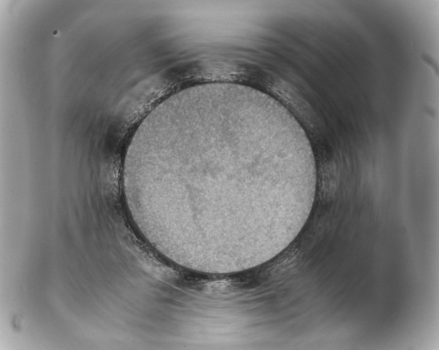 X0000102390309200808291429