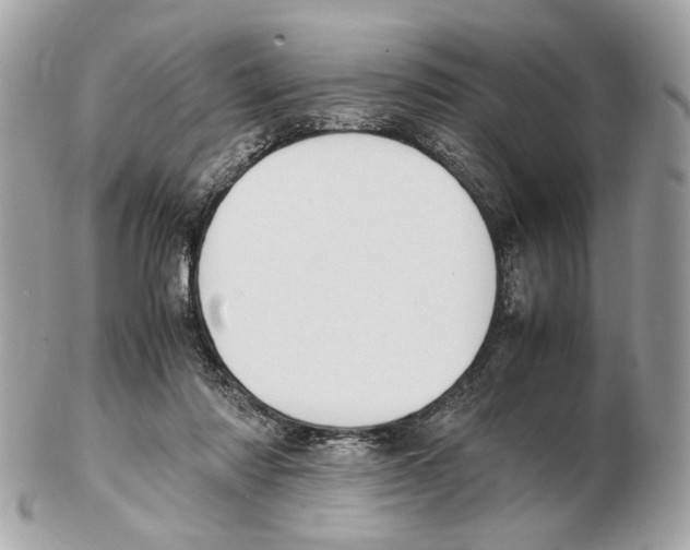 X0000102390310200808291429
