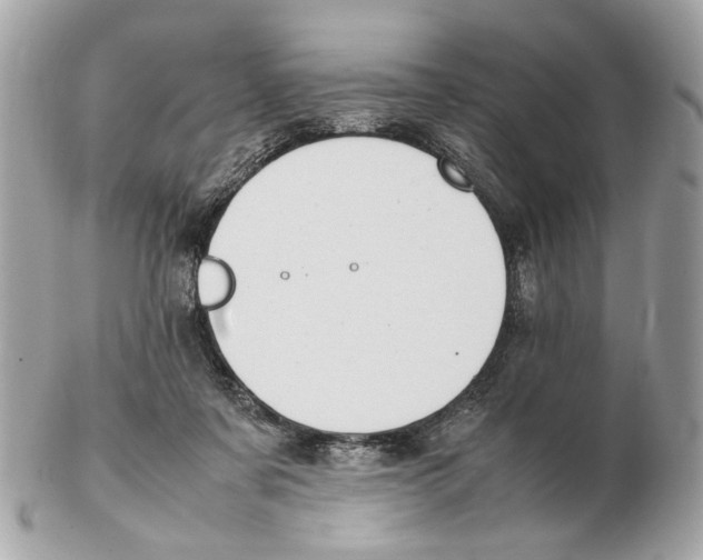 X0000102390311200808291429