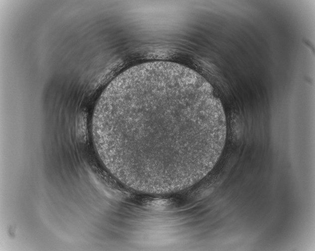 X0000102390312200808291429