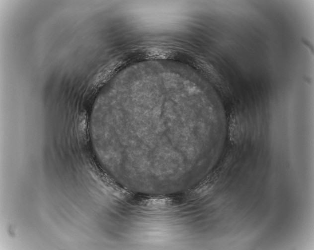 X0000102390314200808291429