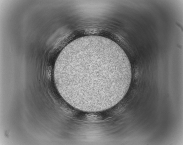 X0000102390315200808291429