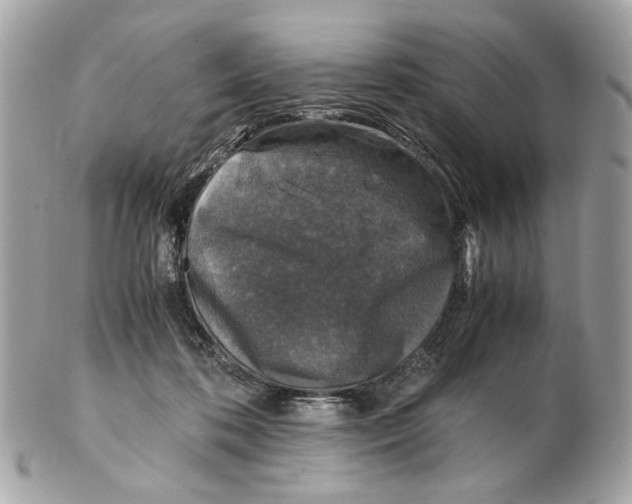 X0000102390316200808291429