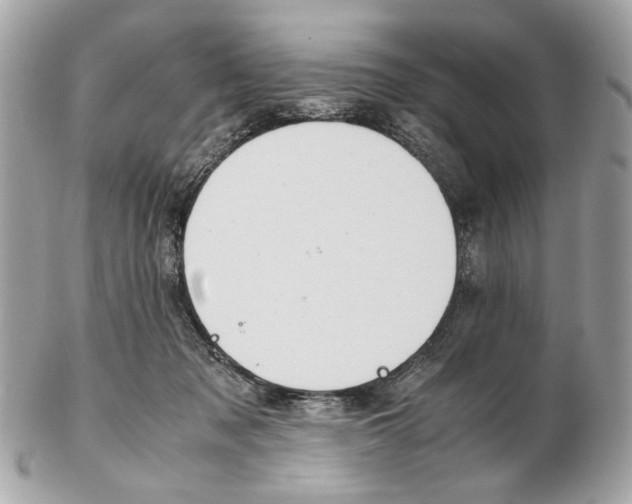 X0000102390317200808291429