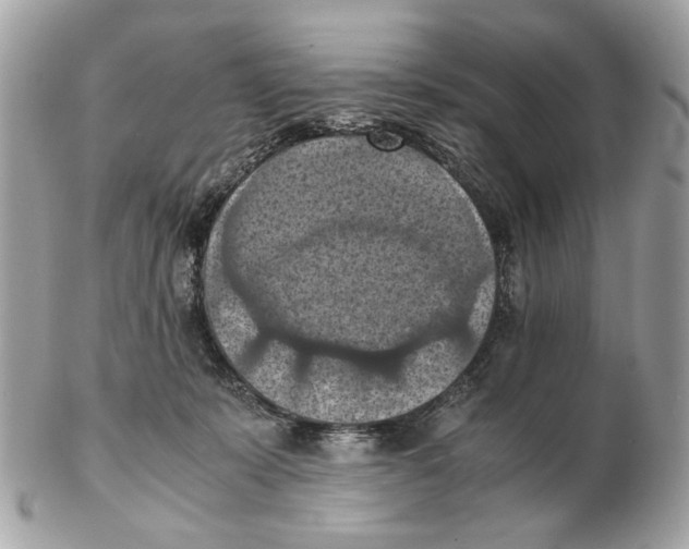 X0000102390319200808291429