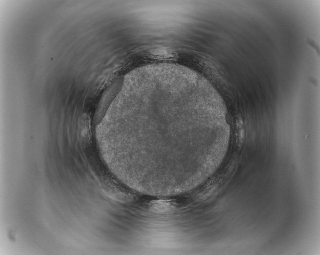 X0000102390320200808291429