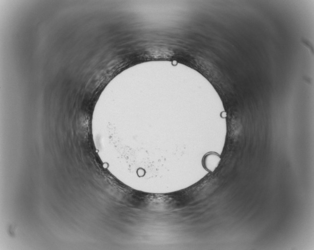 X0000102390321200808291429