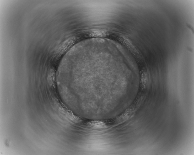X0000102390322200808291429