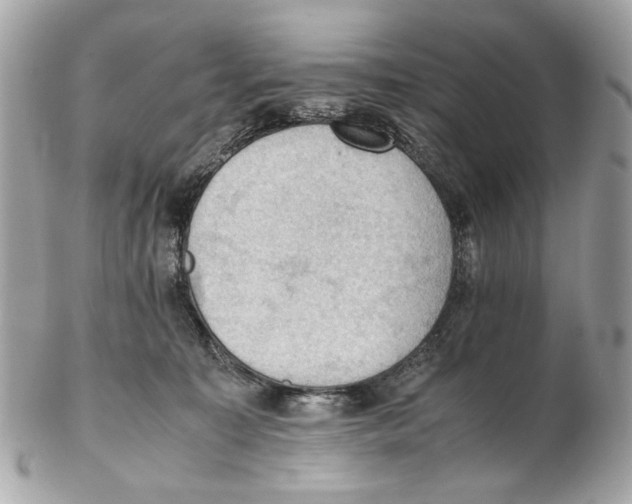 X0000102390323200808291429