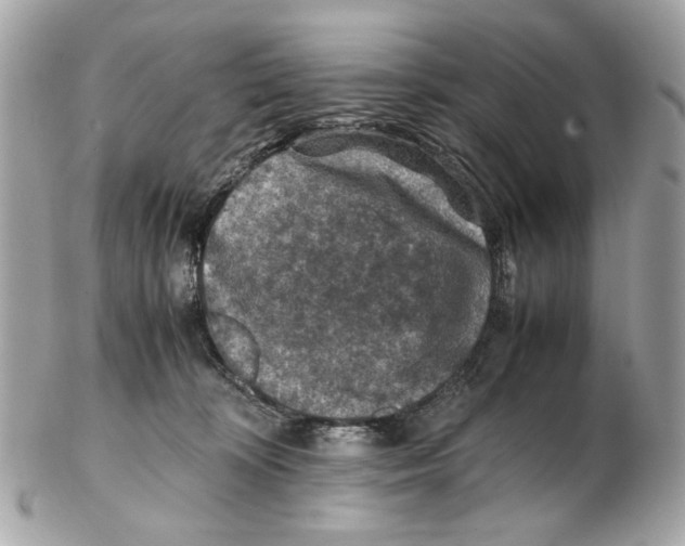 X0000102390324200808291429