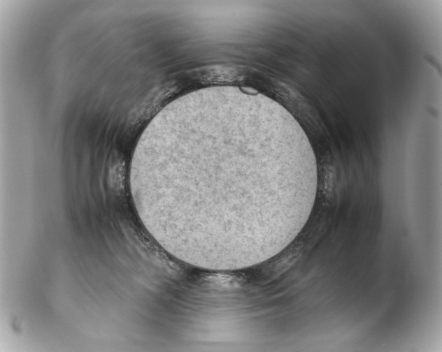 X0000102390326200808291429