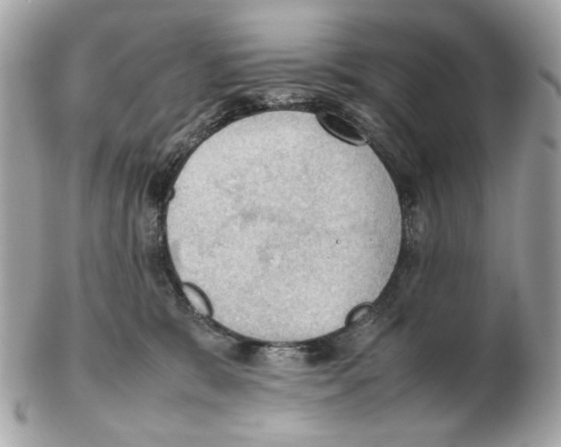 X0000102390327200808291429