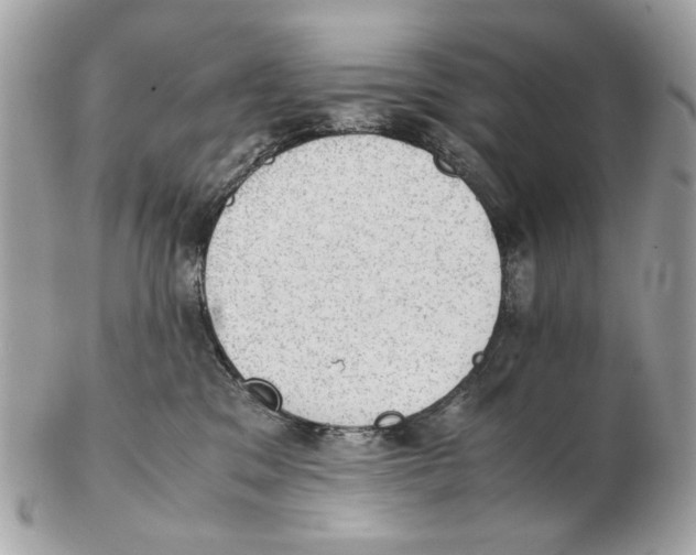 X0000102390329200808291429