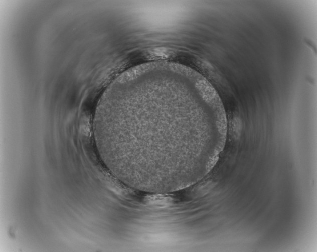 X0000102390331200808291429