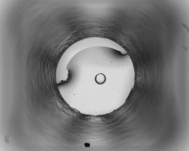 X0000102390332200808291429