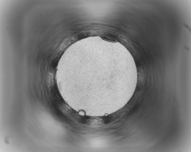 X0000102390333200808291429