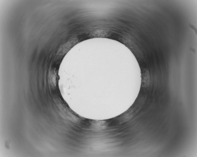 X0000102390334200808291429