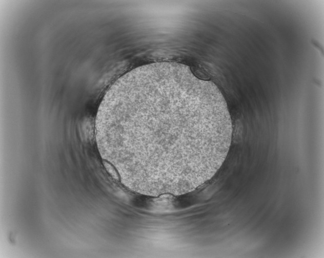 X0000102390335200808291429