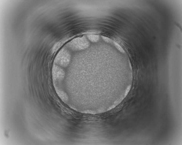 X0000102390337200808291428