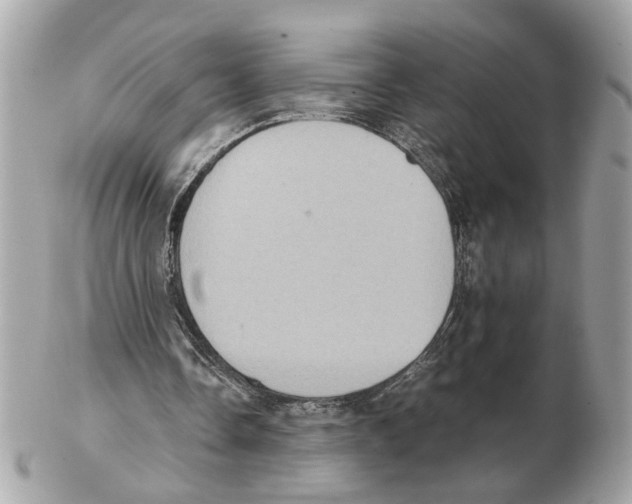X0000102390338200808291428